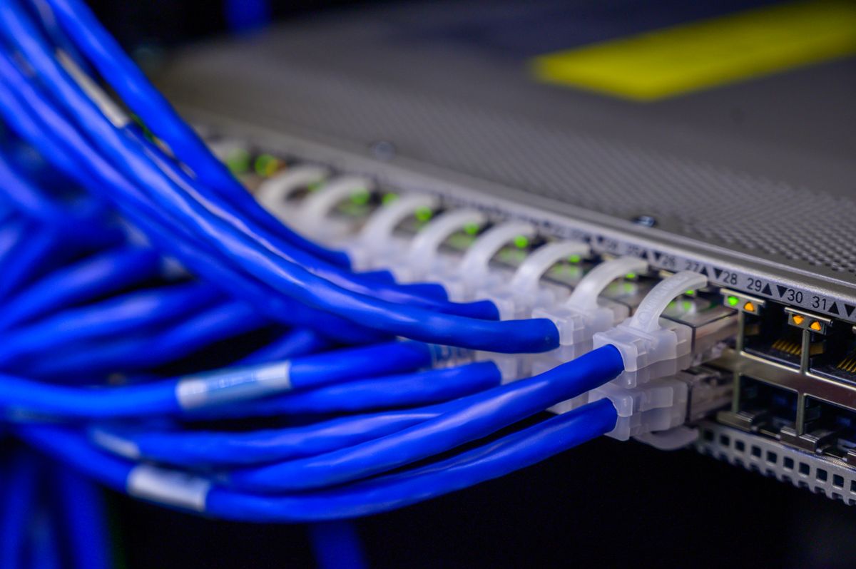 Cables de red azules conectados a un switch